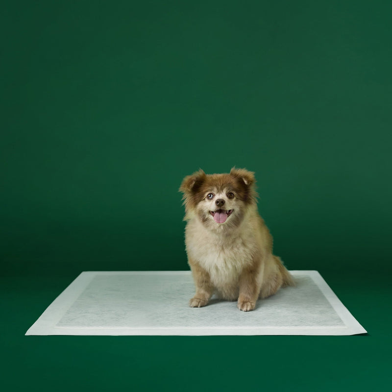 Disposable Dog Pee Pads with AbsorbShield+ Technology M9